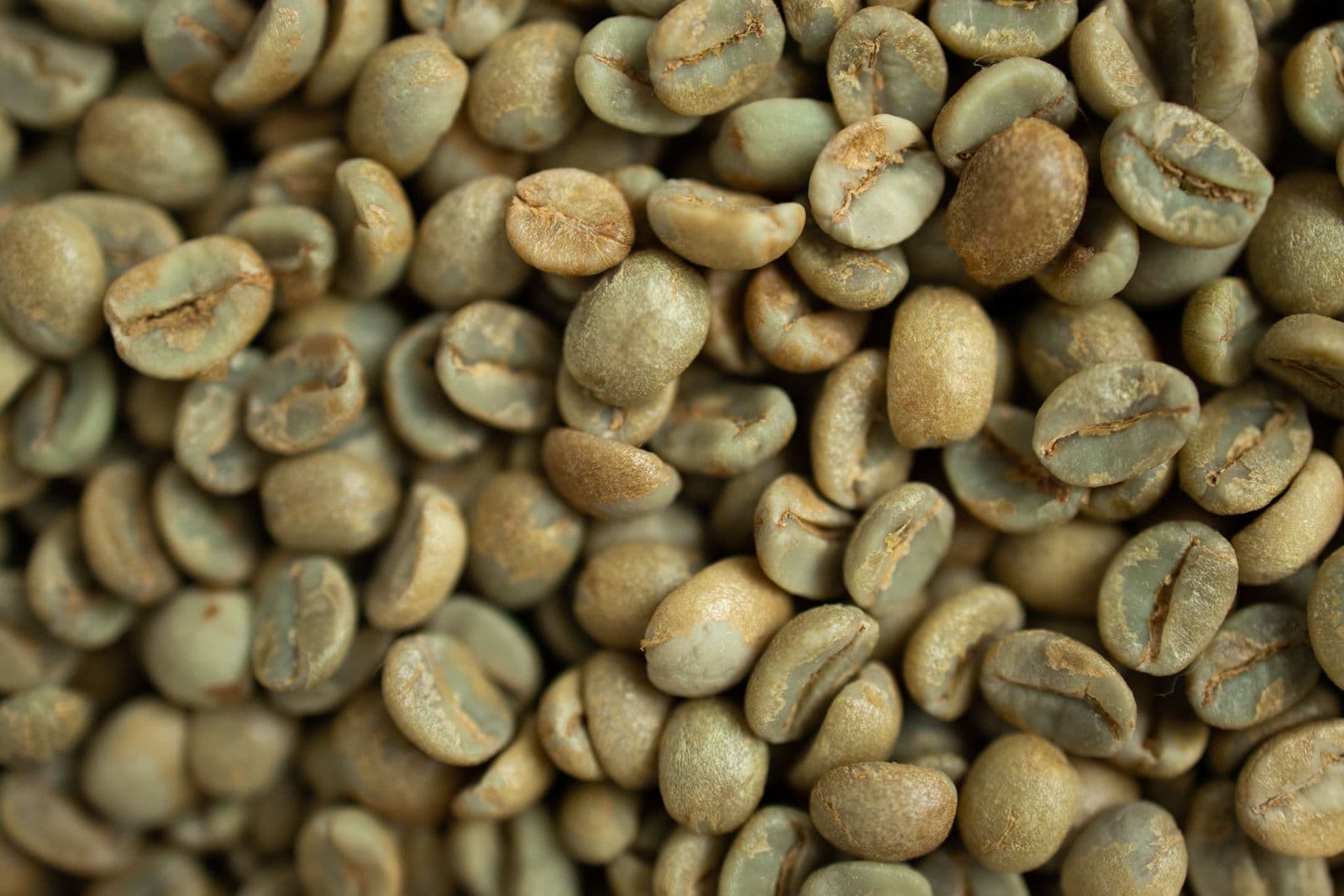 Cleaned and graded green coffee beans